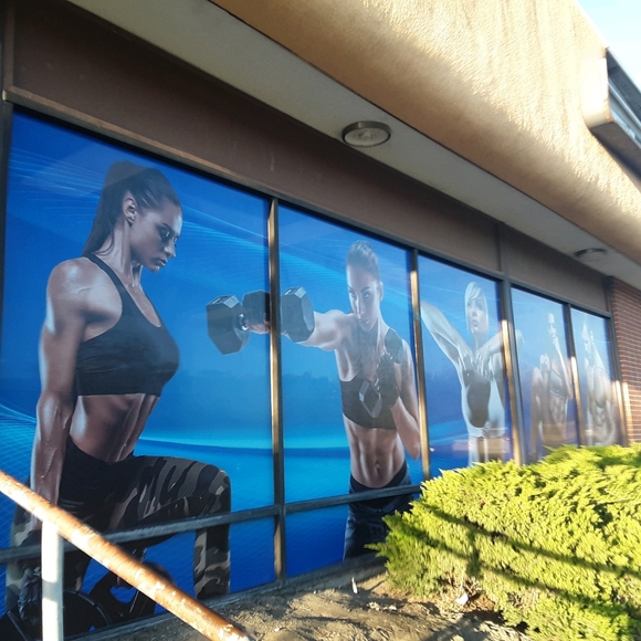 Meet your Posher, Thomas - Picture 6 of 9